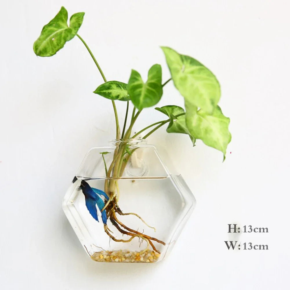 Hanging Glass Terrarium, Air Plant Globe, Geometric Planter for Window Display