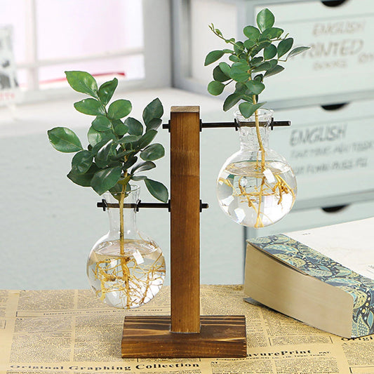 Glass Bulb Vase with Wood Stand, Hydroponic Desktop Planter, Propagation Vase
