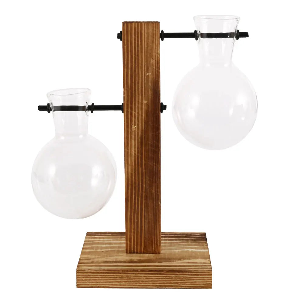 Glass Bulb Vase with Wood Stand, Hydroponic Desktop Planter, Propagation Vase