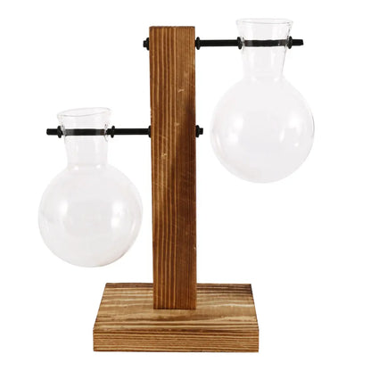 Glass Bulb Vase with Wood Stand, Hydroponic Desktop Planter, Propagation Vase