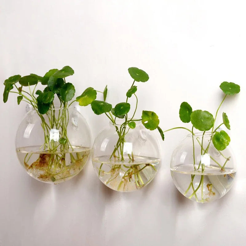 Hanging Glass Terrarium, Air Plant Globe, Geometric Planter for Window Display