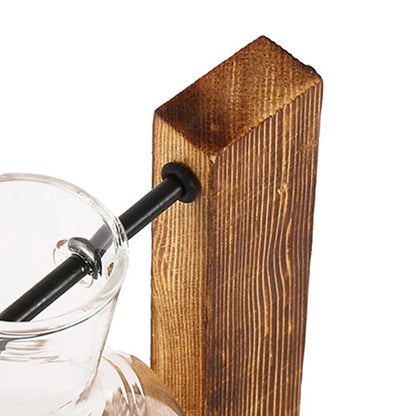 Glass Bulb Vase with Wood Stand, Hydroponic Desktop Planter, Propagation Vase