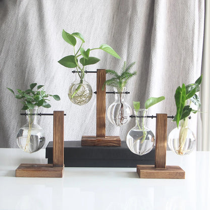 Glass Bulb Vase with Wood Stand, Hydroponic Desktop Planter, Propagation Vase