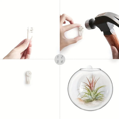 Hanging Glass Terrarium, Air Plant Globe, Geometric Planter for Window Display