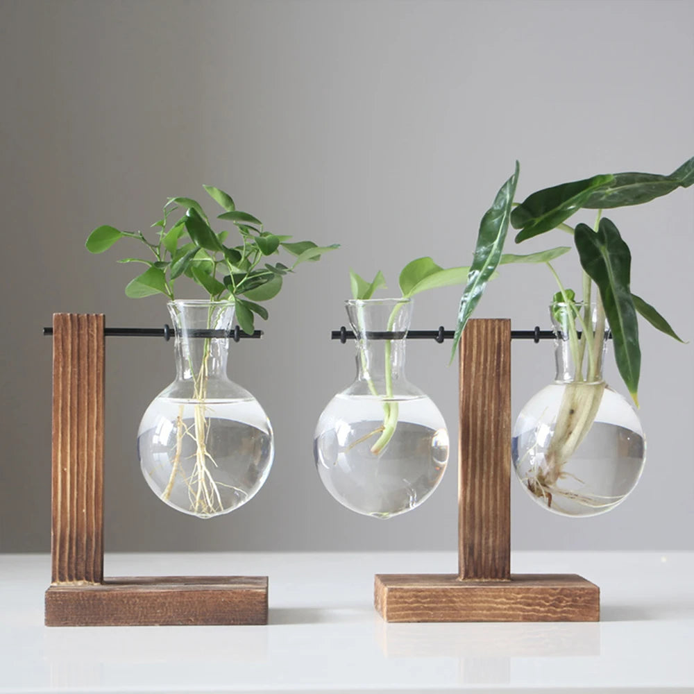 Glass Bulb Vase with Wood Stand, Hydroponic Desktop Planter, Propagation Vase