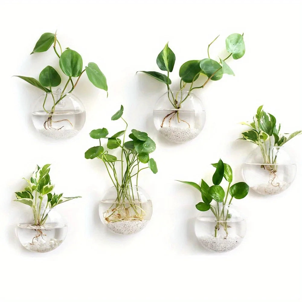 Hanging Glass Terrarium, Air Plant Globe, Geometric Planter for Window Display