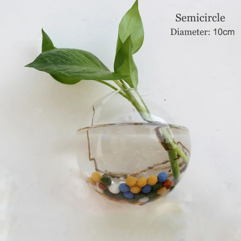Hanging Glass Terrarium, Air Plant Globe, Geometric Planter for Window Display