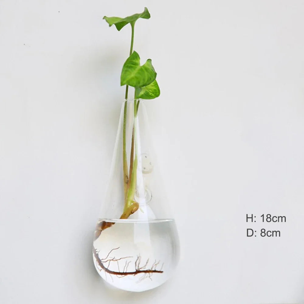 Hanging Glass Terrarium, Air Plant Globe, Geometric Planter for Window Display