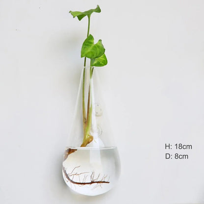 Hanging Glass Terrarium, Air Plant Globe, Geometric Planter for Window Display