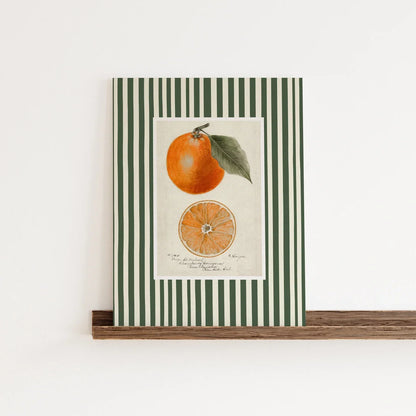 Orange Fruit Wall Art Print, Kitchen Poster, Citrus Botanical Decor for the Dining Room
