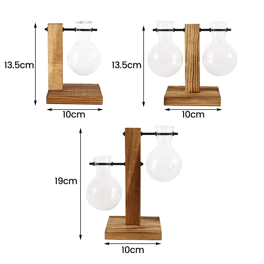 Glass Bulb Vase with Wood Stand, Hydroponic Desktop Planter, Propagation Vase