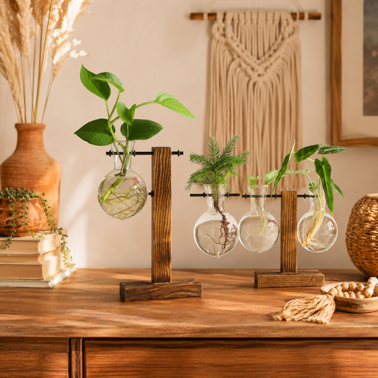 Glass bulb vase in a wooden stand on a desk, holding a cutting in water