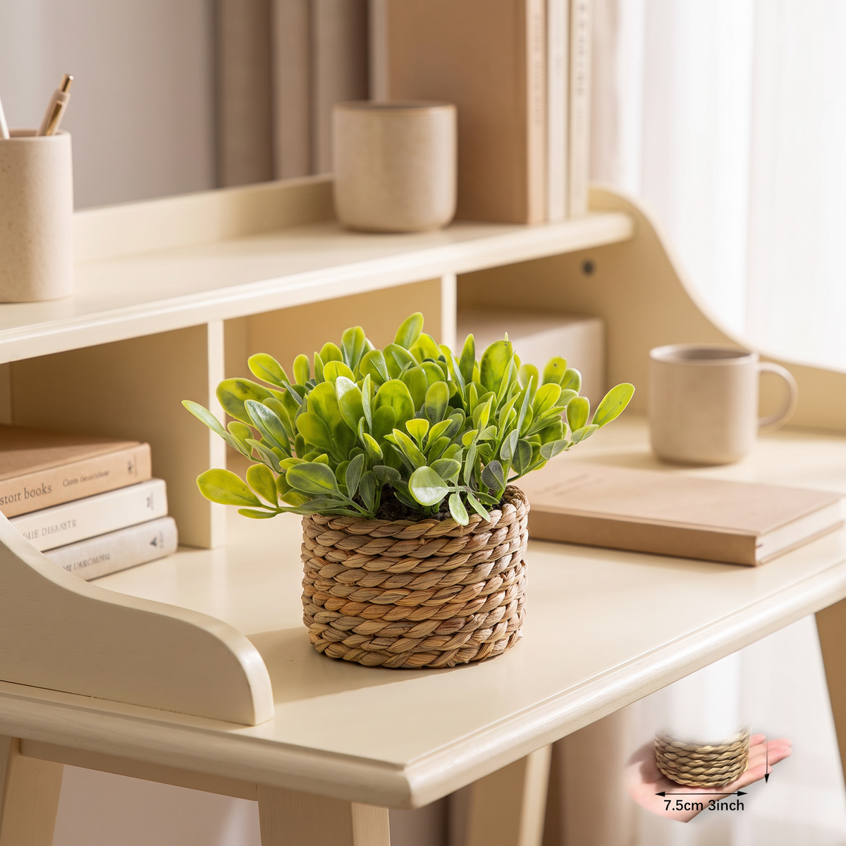 Artificial eucalyptus grass plant on an office desk shelf