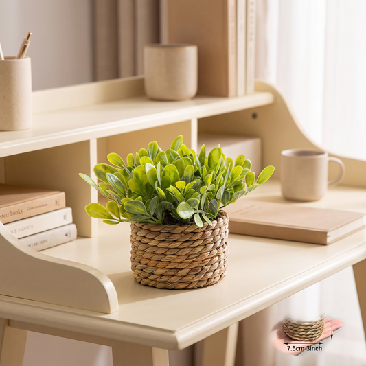 Artificial eucalyptus grass plant on an office desk shelf